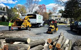 Albers, IL Tree Care Company