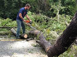Mulching Services in Albers, IL