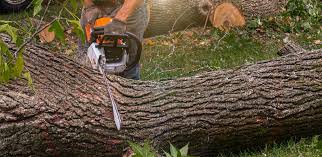 Lawn Watering Services in Albers, IL